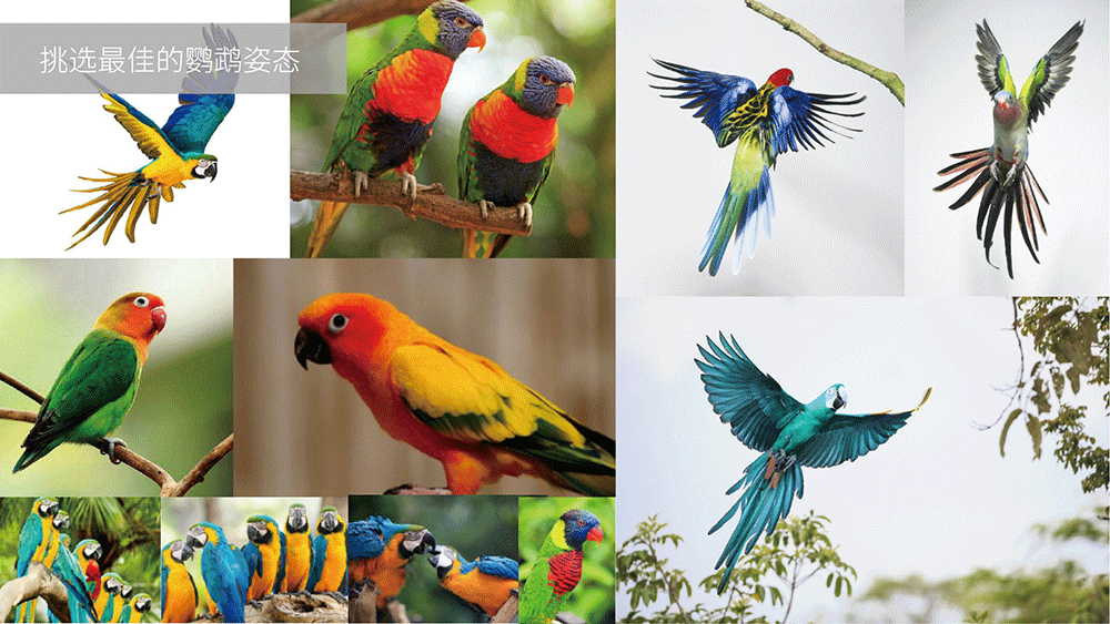 醫療咨詢品牌形象設計-璞求醫療LOGO升級